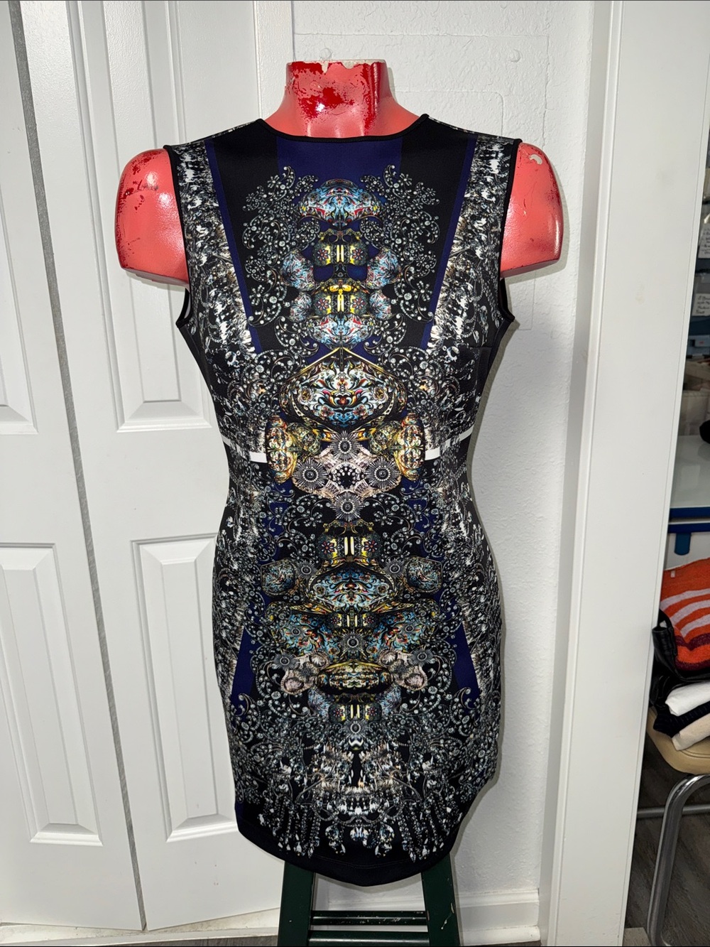 Clover Canyon dress